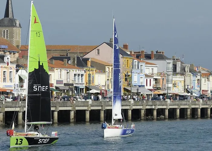 Rénové Sur Le Port Avec Terrasse Et Parking Privatifs, Animaux Acceptés - Fr-1-92-778 *