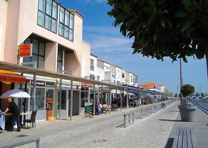 Appartamento Rénové Sur Le Port Avec Terrasse Et Parking Privatifs, Animaux Acceptés - Fr-1-92-778