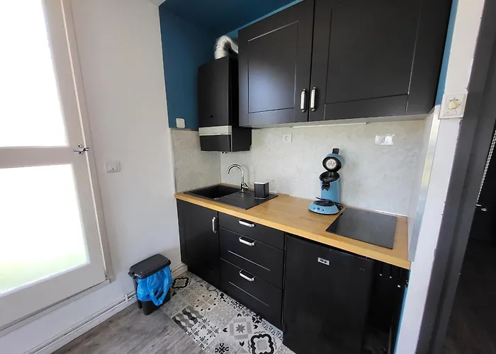 Renove Sur Le Port Avec Terrasse Et Parking Privatifs, Animaux Acceptes - Fr-1-92-778 * 莱萨布勒-多洛讷